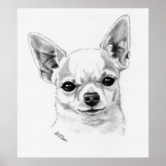 Smoothcoat Chihuahua Champion Poster (Vorne)