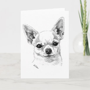 Smoothcoat chihuahua karte