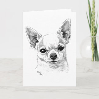 Smoothcoat chihuahua karte
