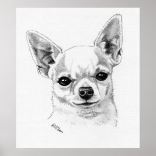 Smoothcoat Chihuahua-Meister Poster