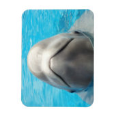 Smug Beluga Whale Flexible Magnet (Vertikal)