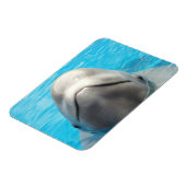 Smug Beluga Whale Flexible Magnet (Linke Seite)