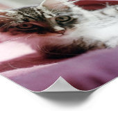 Smug Kitten Poster (Ecke)