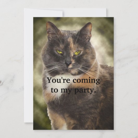 Smug Kitty - Was Will du? Einladung (Vorderseite)