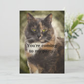 Smug Kitty - Was Will du? Einladung (Stehend Vorderseite)