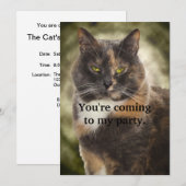 Smug Kitty - Was Will du? Einladung (Vorne/Hinten)