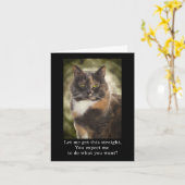 Smug Kitty - Was Will du? Karte (Gelbe Blume)