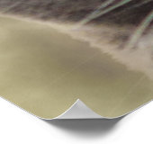 Smug Kitty - Was Will du? Poster (Ecke)