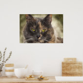 Smug Kitty - Was Will du? Poster (Küche)