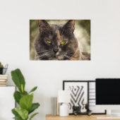 Smug Kitty - Was Will du? Poster (Heimbüro)