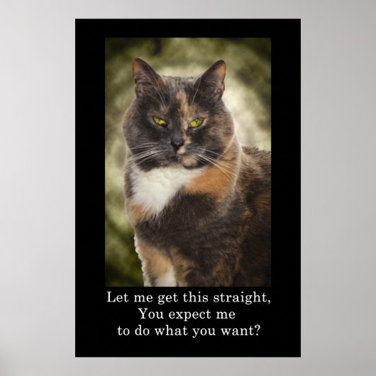 Smug Kitty - Was Will du? Poster (Vorne)