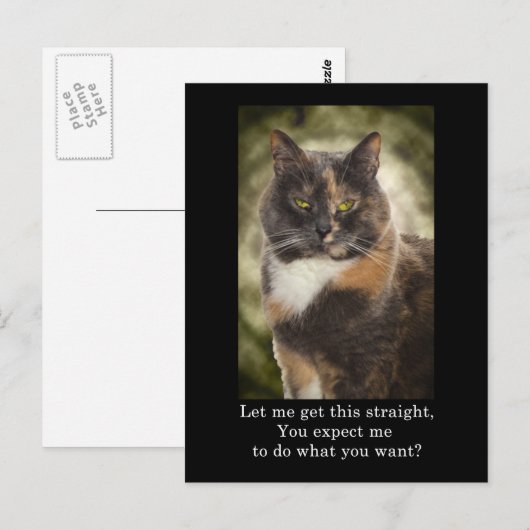 Smug Kitty - Was Will du? Postkarte (Vorne/Hinten)