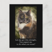 Smug Kitty - Was Will du? Postkarte (Vorderseite)