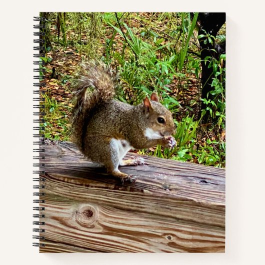 Snack Attack Notizblock (Vorderseite)