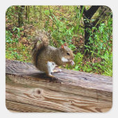 Snack Attack Quadratischer Aufkleber (Vorderseite)