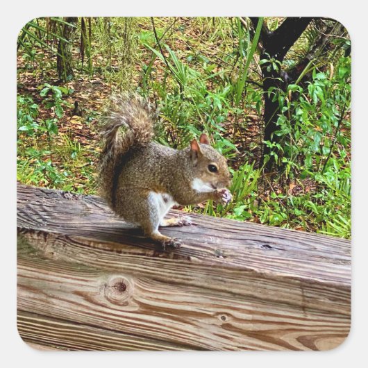 Snack Attack Quadratischer Aufkleber (Vorderseite)