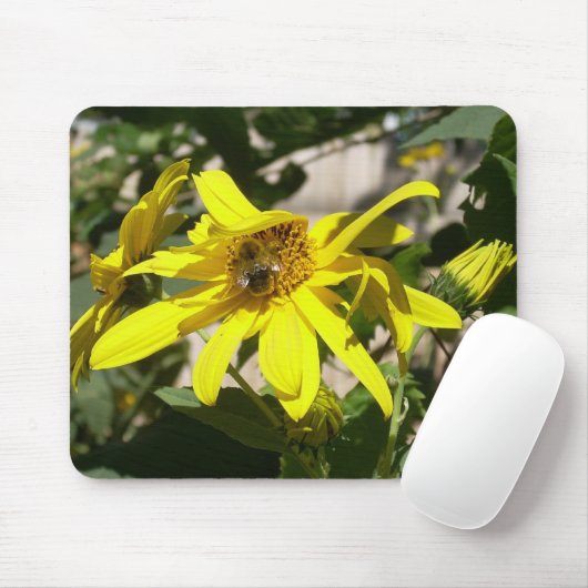Snack für Sonnenblumen Mousepad (Mit Mouse)
