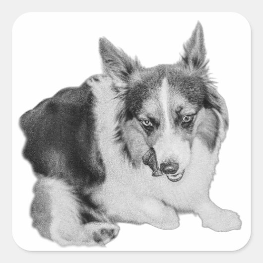 Snack Patrol Quadratischer Aufkleber (Vorderseite)