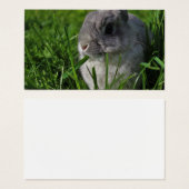 Snack Time (Vorne & Hinten)