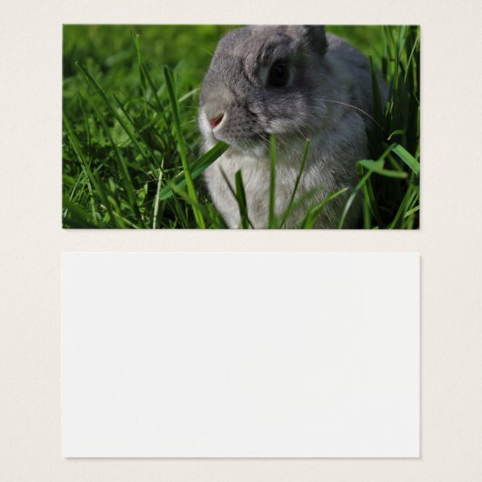 Snack Time (Vorne & Hinten)