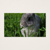 Snack Time (Vorderseite)