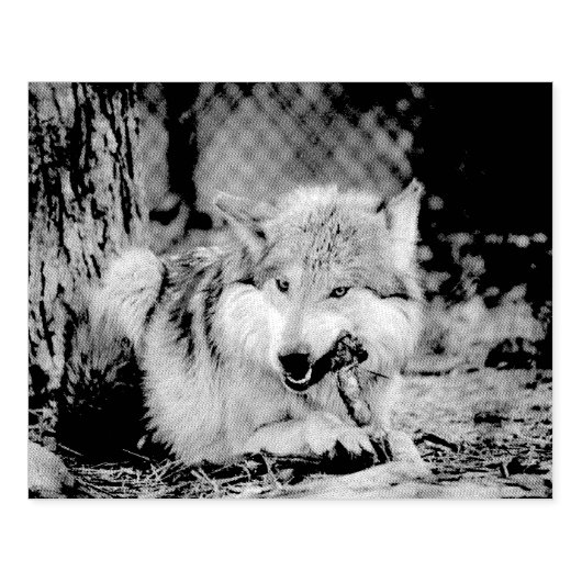 Snack-Timer Gummistempel (Prägung)