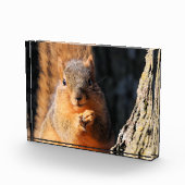 Snack-Zeit Fotoblock (Rechts)