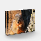 Snack-Zeit Fotoblock (Links)