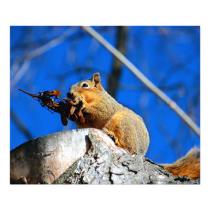 Snack-Zeit Fotodruck