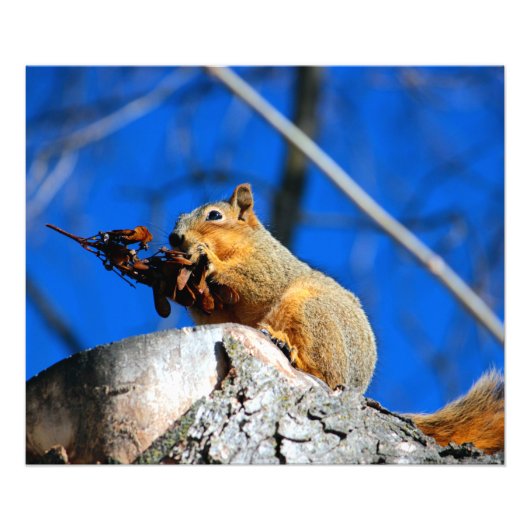 Snack-Zeit Fotodruck (Vorne)