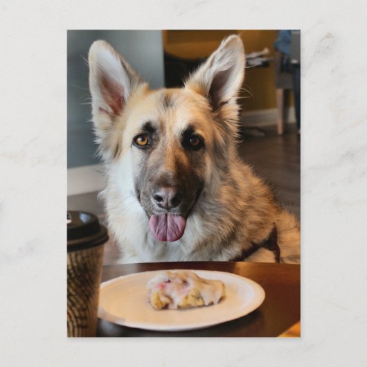 Snack-Zeit Postkarte (Vorderseite)