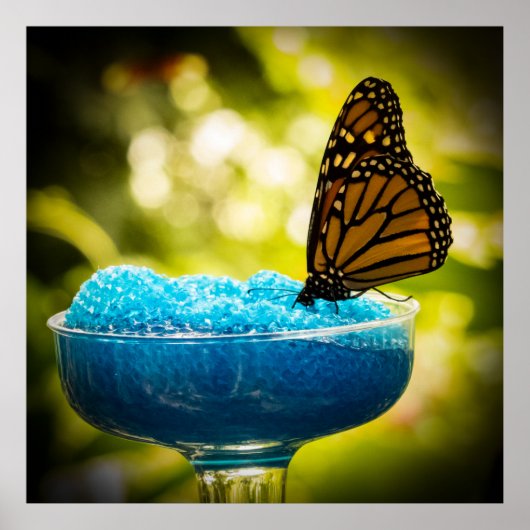 Snacking Poster (Vorne)