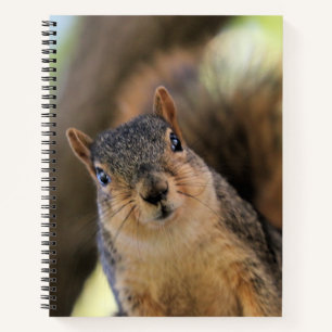 Snacks? Ich LIEBE Snacks! Notizbuch
