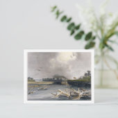 Snacks (versunkene Bäume) auf dem Missouri, Platte Postkarte (Stehend Vorderseite)