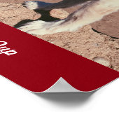 @SnaggleToofPup Poster (Ecke)