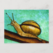 Snail 1 Postkarte (Vorderseite)