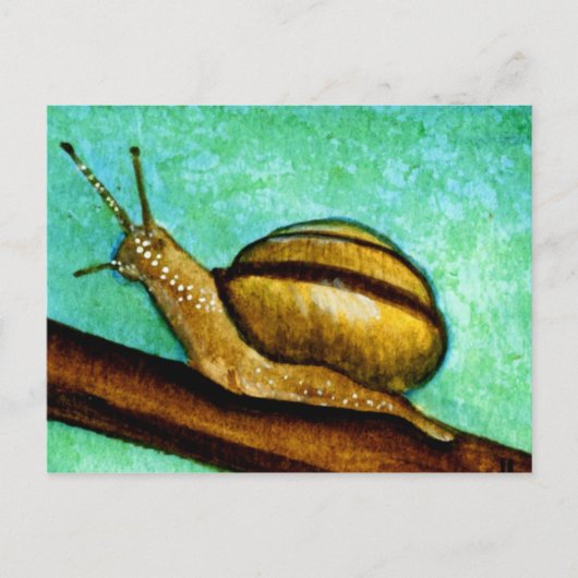 Snail 1 Postkarte (Vorderseite)