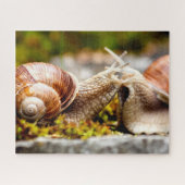 Snail Couple, Jigsaw Puzzle (Horizontal)