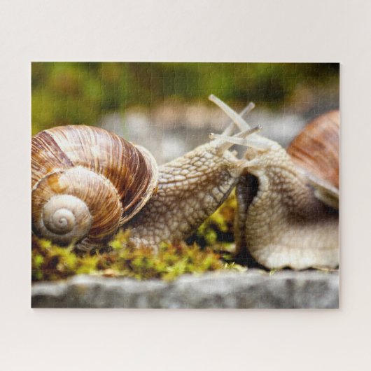 Snail Couple, Jigsaw Puzzle (Horizontal)