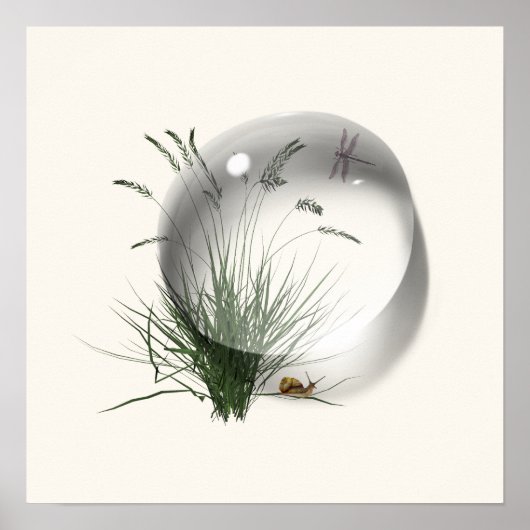 Snail Dragonfly Waterdrop Abstrakt Poster (Vorne)