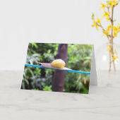 SNAIL EQUILIBRIST-Karte Karte (Gelbe Blume)