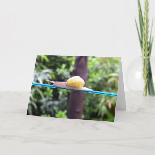 SNAIL EQUILIBRIST-Karte Karte