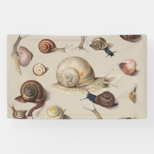 Snail Garden Haustier Gastropod Seven Lug Botanisc Banner