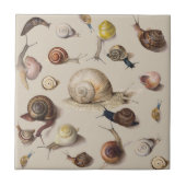 Snail Garden Haustier Gastropod Seven Lug Botanisc Fliese (Vorderseite)