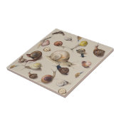 Snail Garden Haustier Gastropod Seven Lug Botanisc Fliese (Seite)