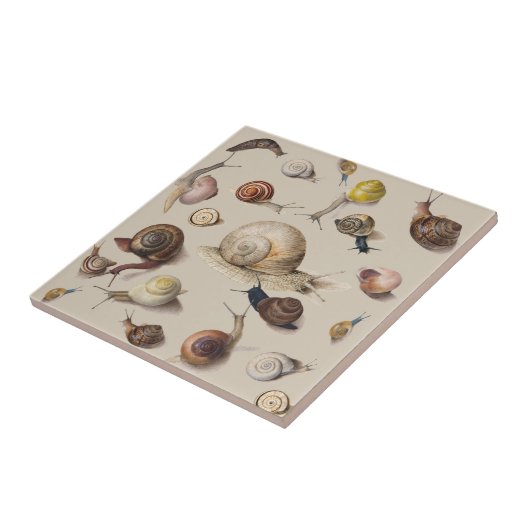 Snail Garden Haustier Gastropod Seven Lug Botanisc Fliese (Seite)