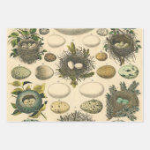 Snail Garden Haustier Gastropod Seven Lug Botanisc Geschenkpapier Set (Vorderseite 3)