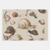 Snail Garden Haustier Gastropod Seven Lug Botanisc Geschenkpapier Set (Vorderseite)