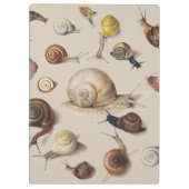 Snail Garden Haustier Gastropod Seven Lug Botanisc Klemmbrett (Rückseite)