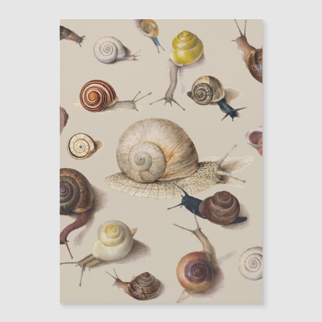 Snail Garden Haustier Gastropod Seven Lug Botanisc Magnetkarte (Vorderseite)